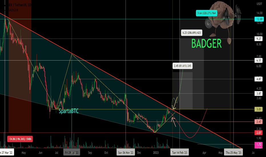 BADGER/USDT Secondary trend. The area of the narrowing wedge.
