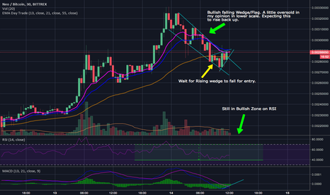 NEO - Current Correction is Overplayed