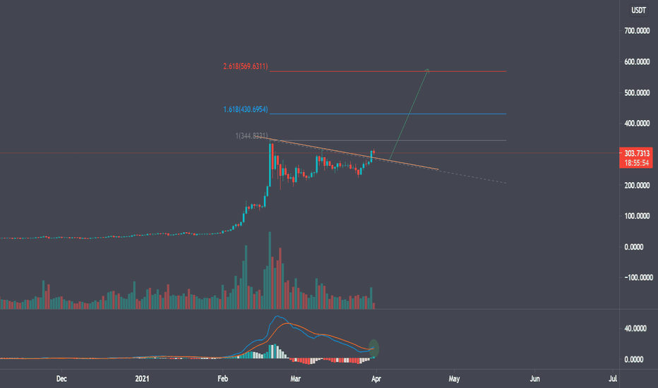 $BNB Midterm / Longterm