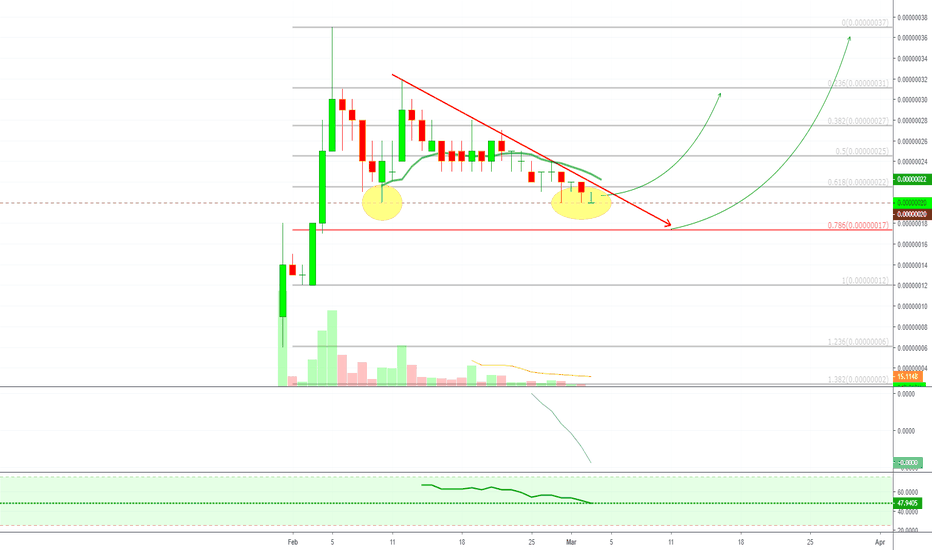 BitTorrent Potential Bounce (We Remain Bullish After ...)