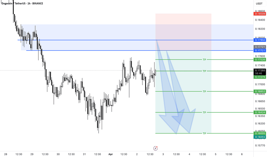 Short Position DOGE/USDT