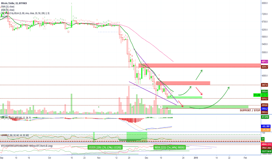 Bitcoin Price Action BULLISH +Altcoins Market Update (MOST READ!