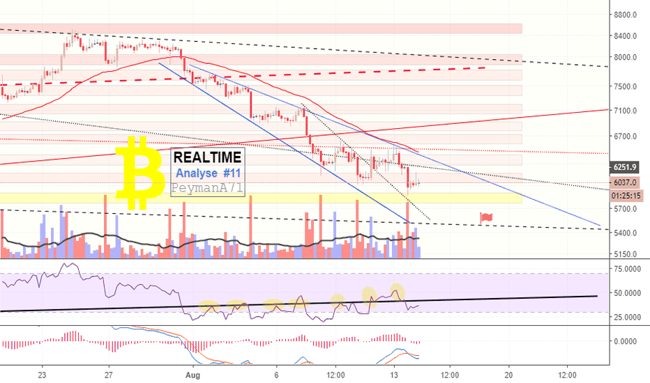 BTC Realtime Analyse #11
