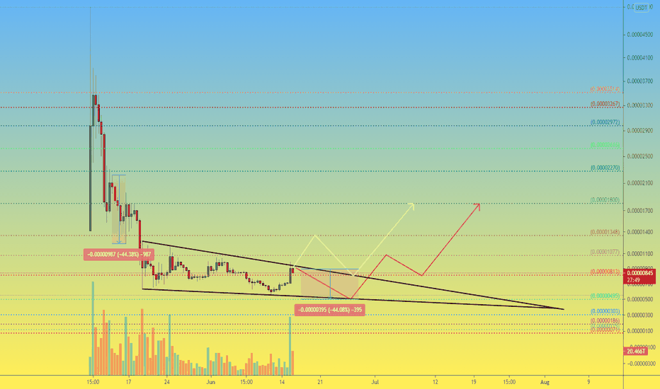 Shib 12h Buy and Sell levels for those who like to take risks