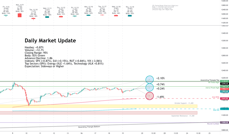 Daily Market Update for 11/19