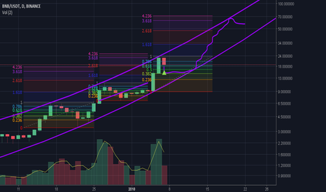 BNB Logarithmically - Exponentially - Incredibly Bullish