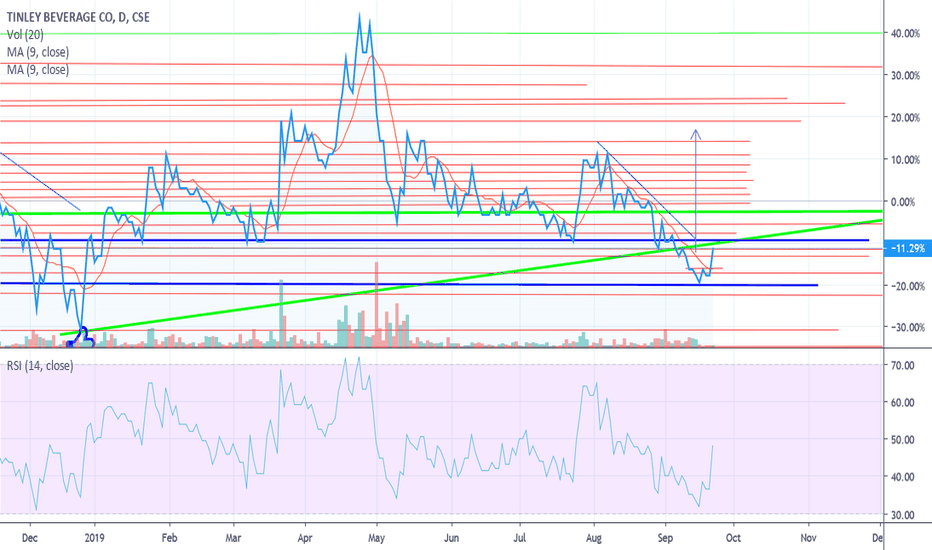 TNY Update. RSI is low on a 1 year chart.