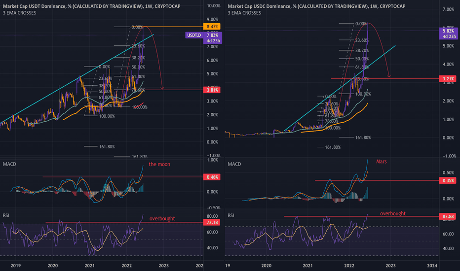 USDT vs USDC The Last Rush
