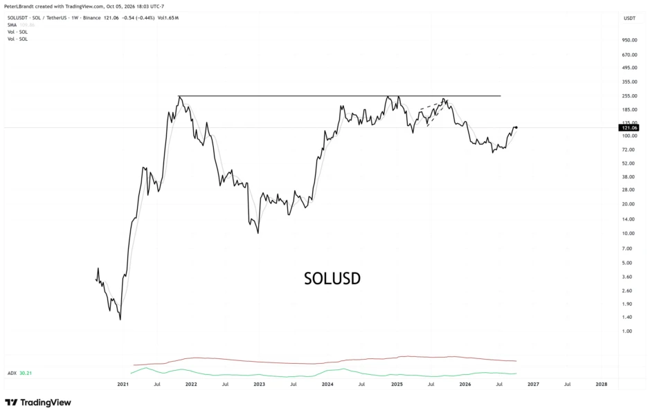 Solana (SOL) Price Performance. Source: X/@PeterLBrandt
