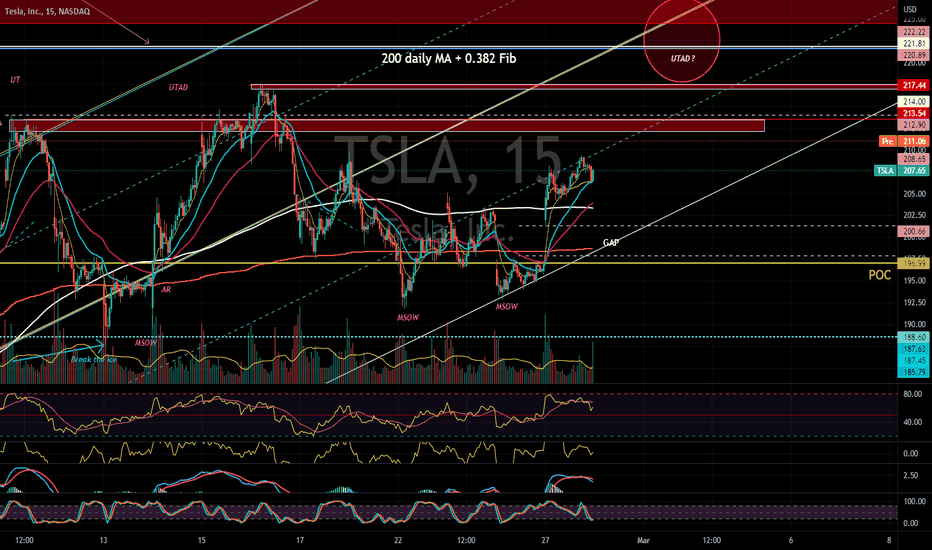 TSLA DAY TRADING 2/28