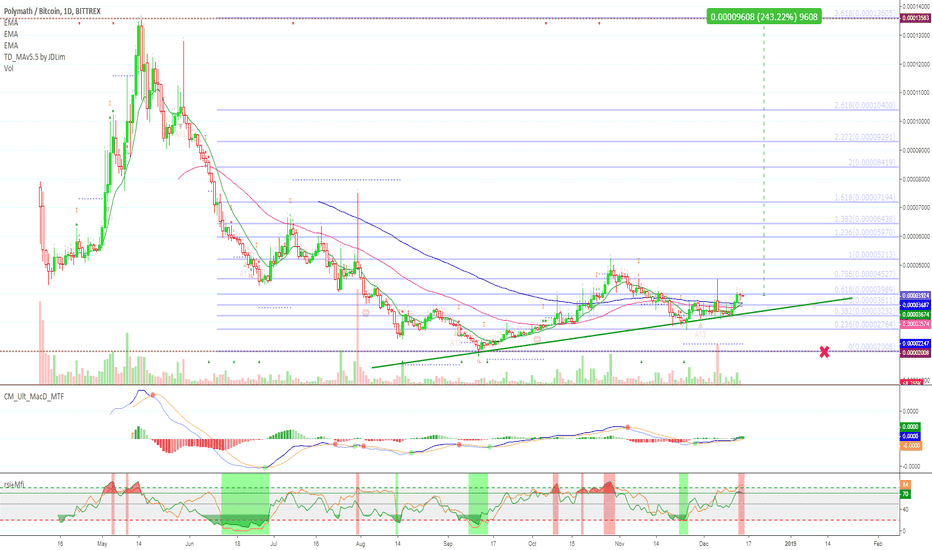 Polymath Long Term (240% Profits Potential)