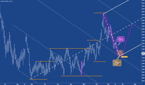 Wheat to turn at the corner?