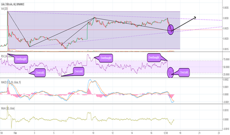 Lisk (LSK) Technical Analysis and Potential Trade. Live Updates!