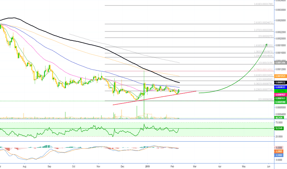 Enigma Starts To Move [ENGBTC][550% Profits Potential]