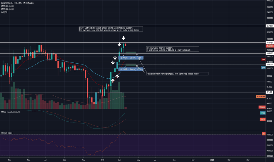BNB ready for a healthy pullback?