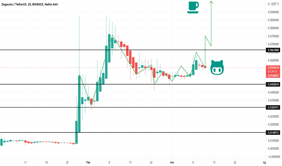 ELON MUSK SPACEX First PAYMENT POSSIBLE DOGECOIN and this are ..