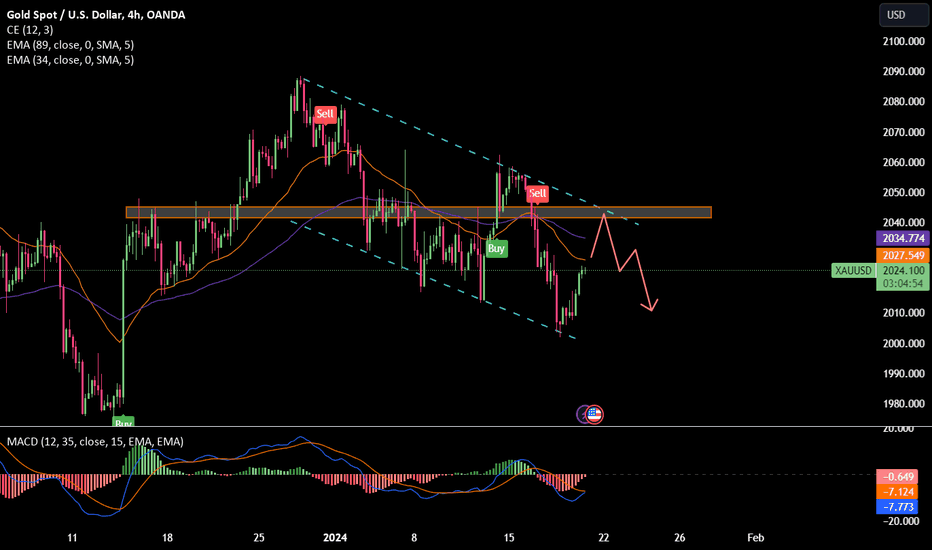 💡 XAUUSD: Analysis January 19