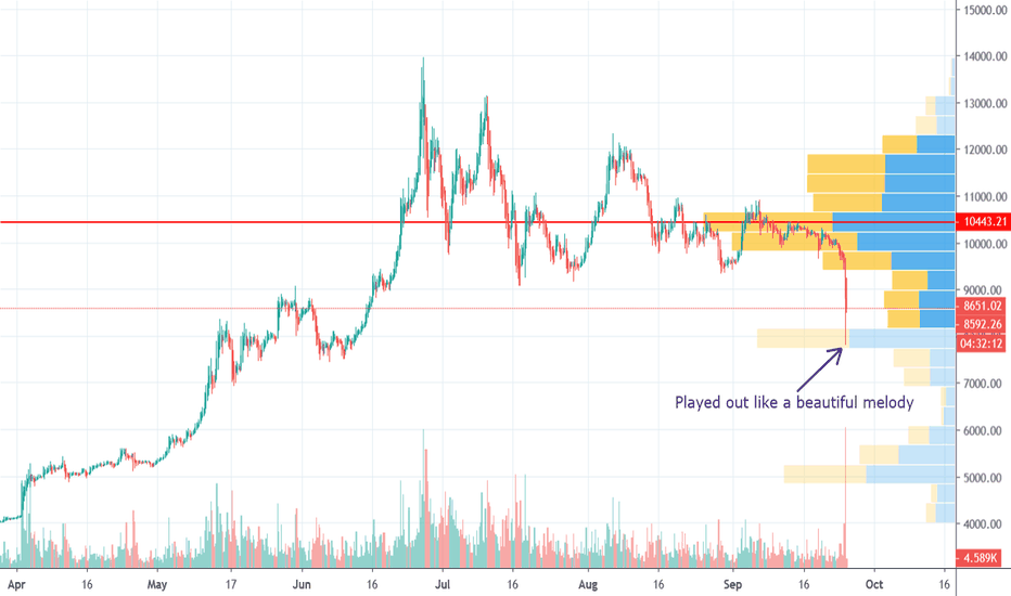 Bitcoin Plays Like a Beautiful Melody