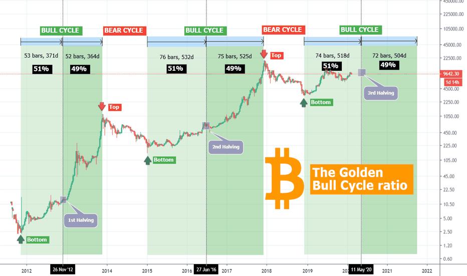 BITCOIN The Golden 51%-49% Ratio! 600 days of Bull Market left!