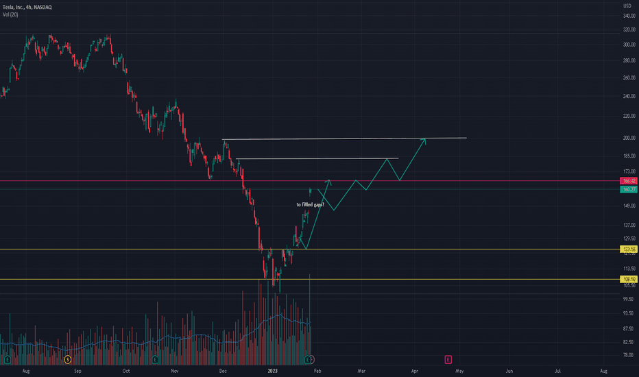 TESLA UPDATES