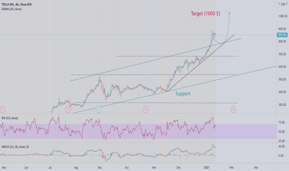TSLA HYPE ROCKET REACH 1000 $.