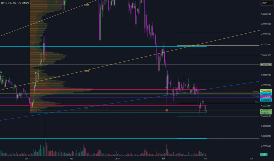 Pepe large time frame PoC 1 March 2025