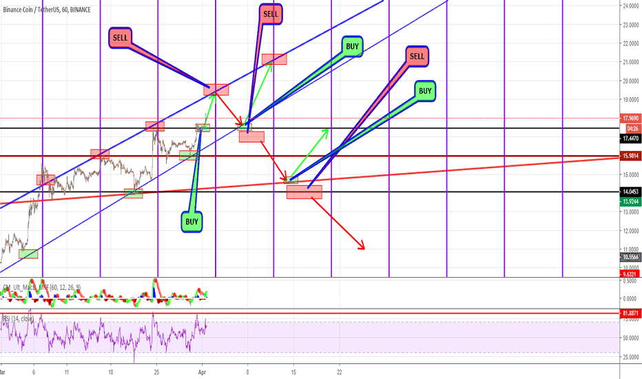 BNB for next 2 WEEK