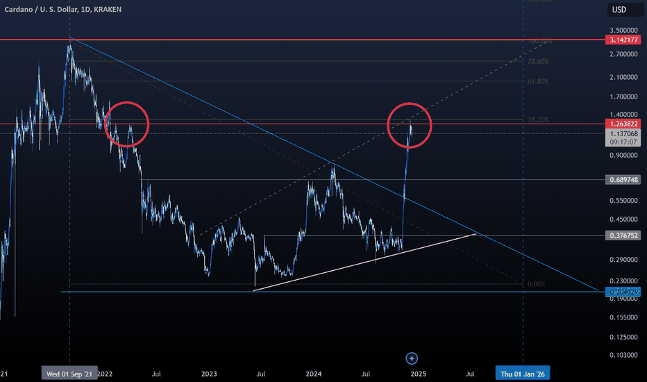 Cardano