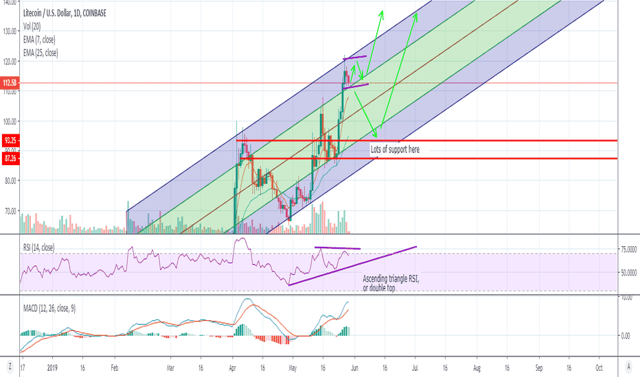 LTC - Bull flag forming or pull back in this channel?