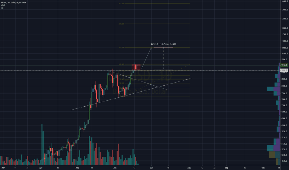 BTC- Hodl