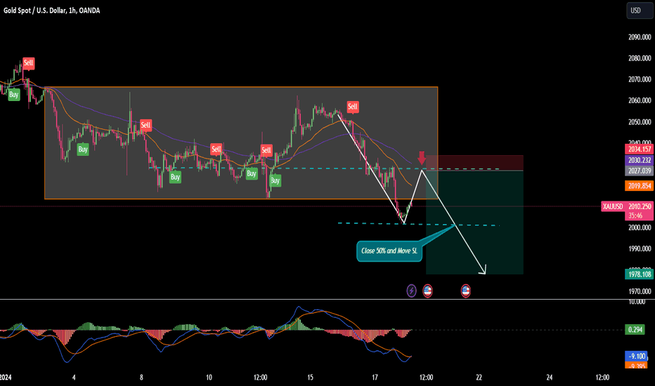 💡Gold: Rises in Asian Session on Technical Correction