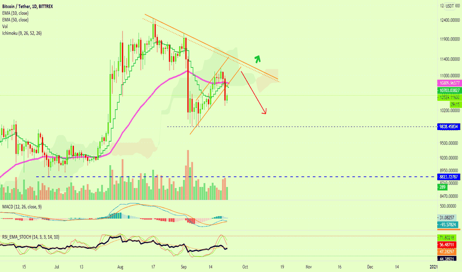 Altcoins Market Update + Bitcoin Update