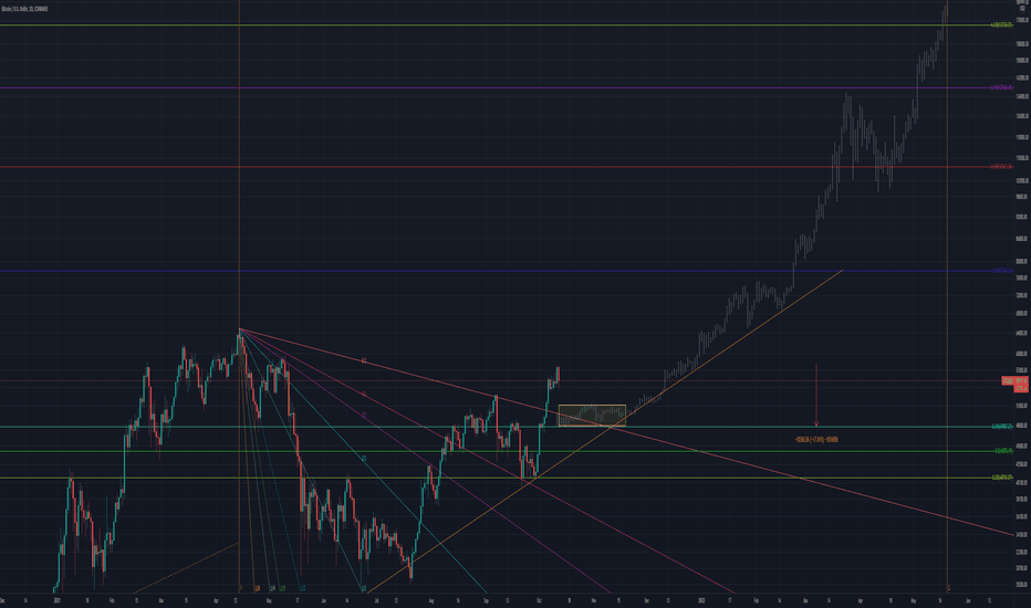 The final run of the bull market
