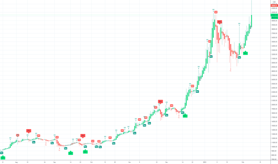 BTC Bitcoin & TSLA Tesla Unstoppable 
