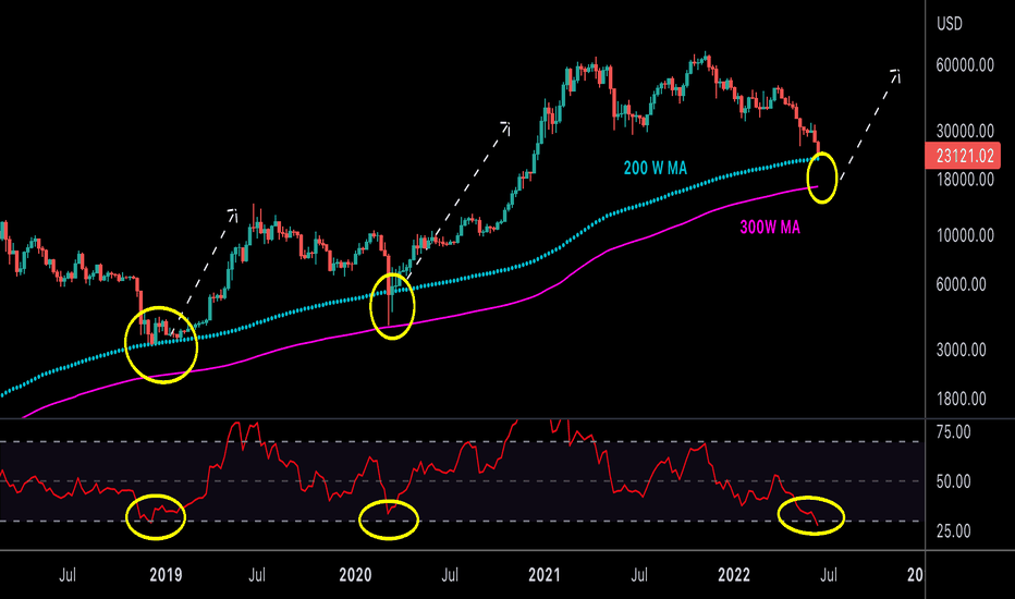 BTC massive historical support