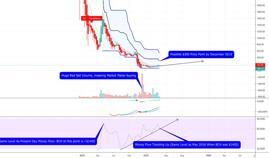 Astonishing Find in the BCH Weekly Chart!! $300 By Dec 2019!!!