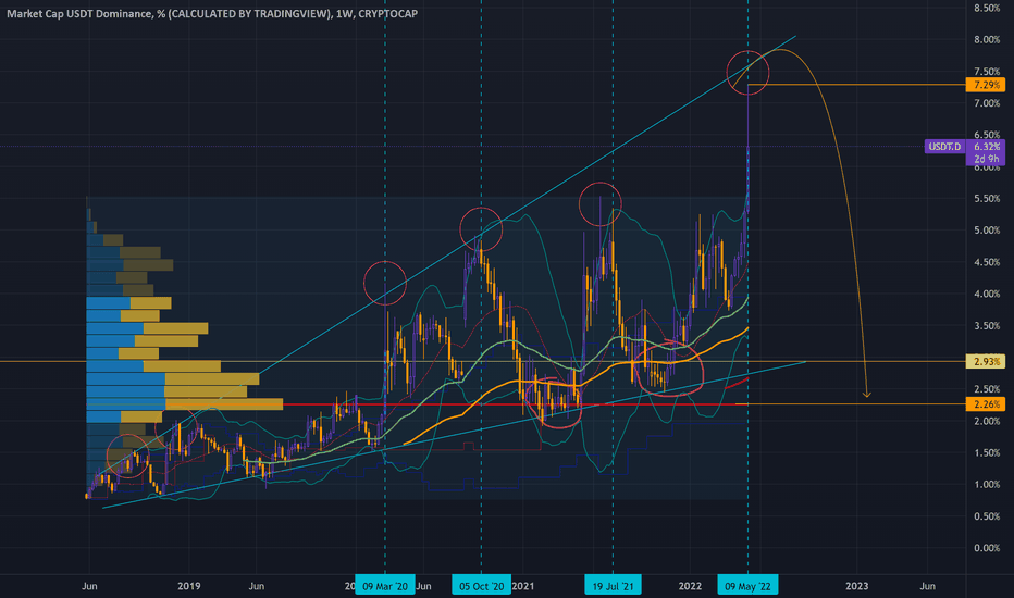 USDT MOON