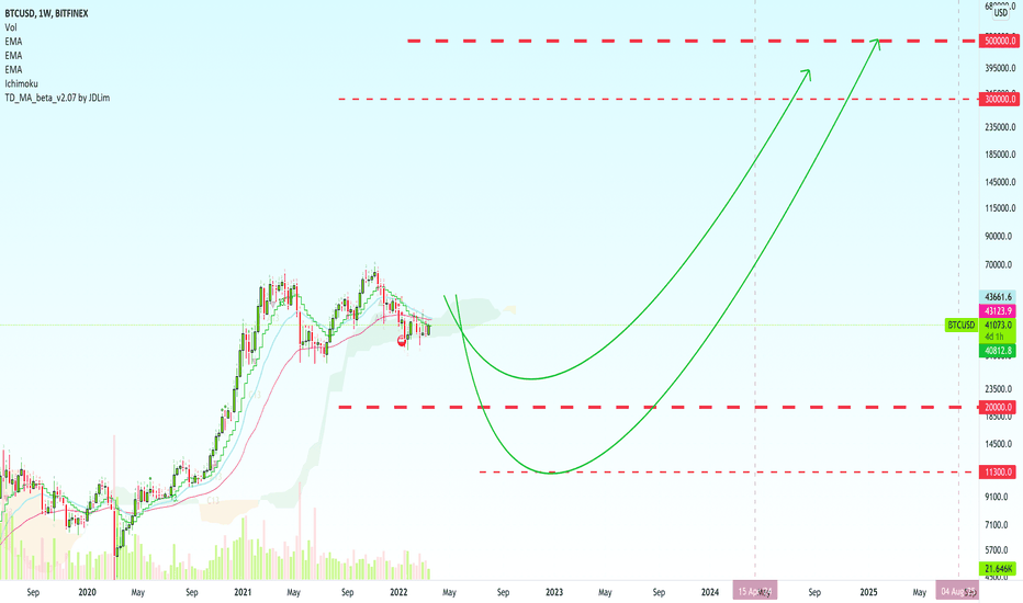 Before $300,000 - $500,000 Bitcoin Hits $20,000 to $11,300...