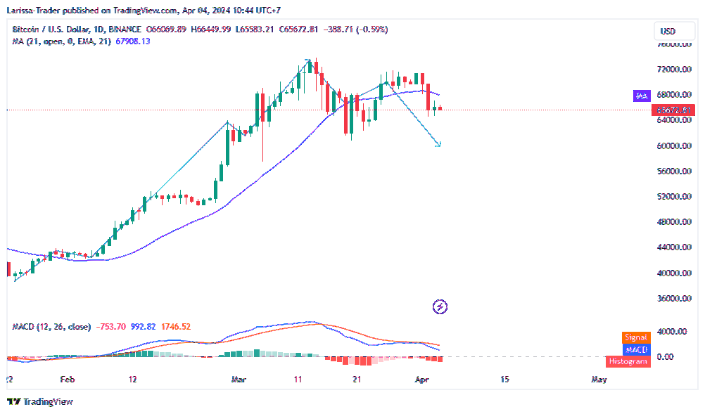 BINANCE:BTCUSD Chart Image by Larissa-Trader