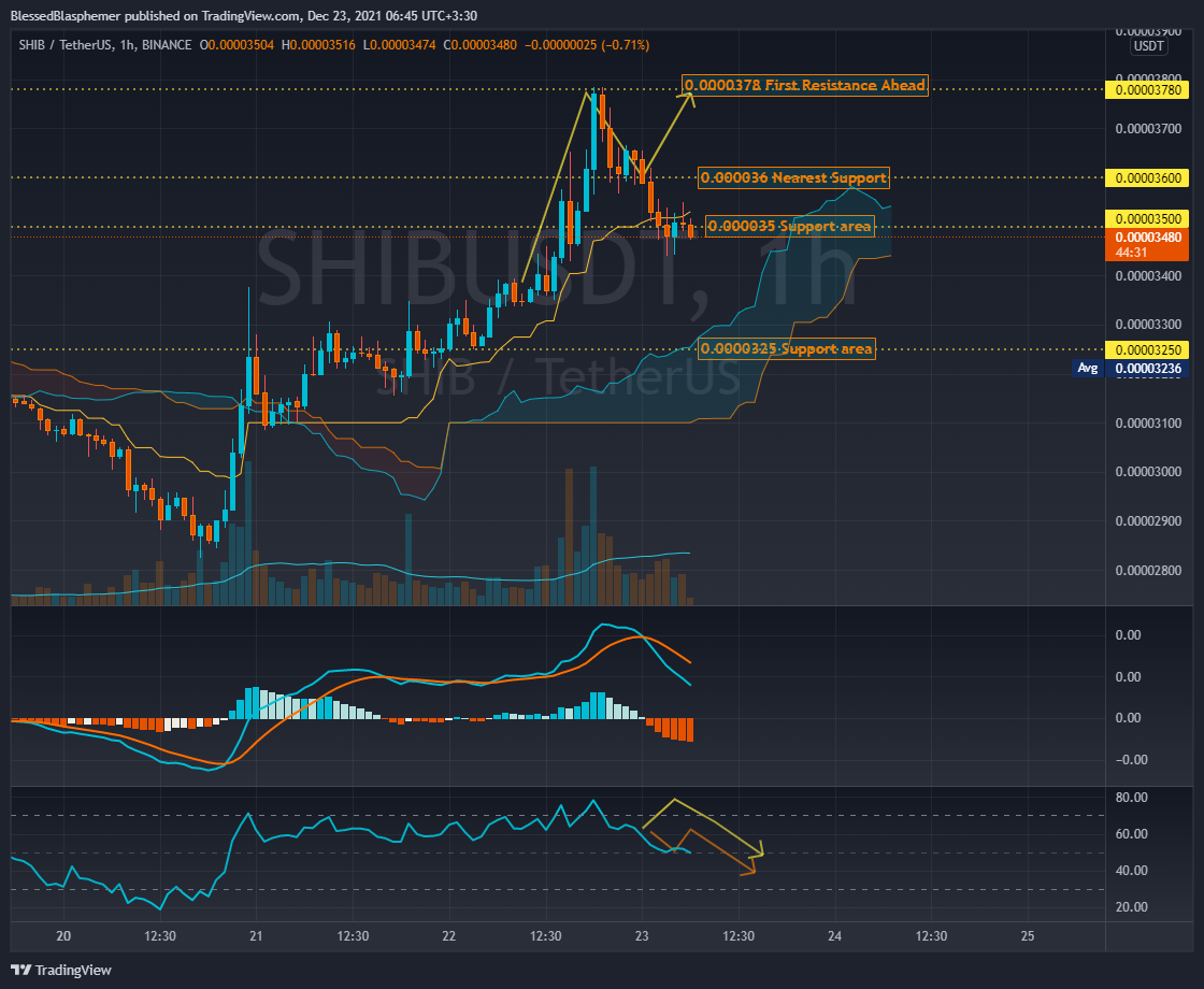 BINANCE:SHIBUSDT Chart Image by BlessedBlasphemer
