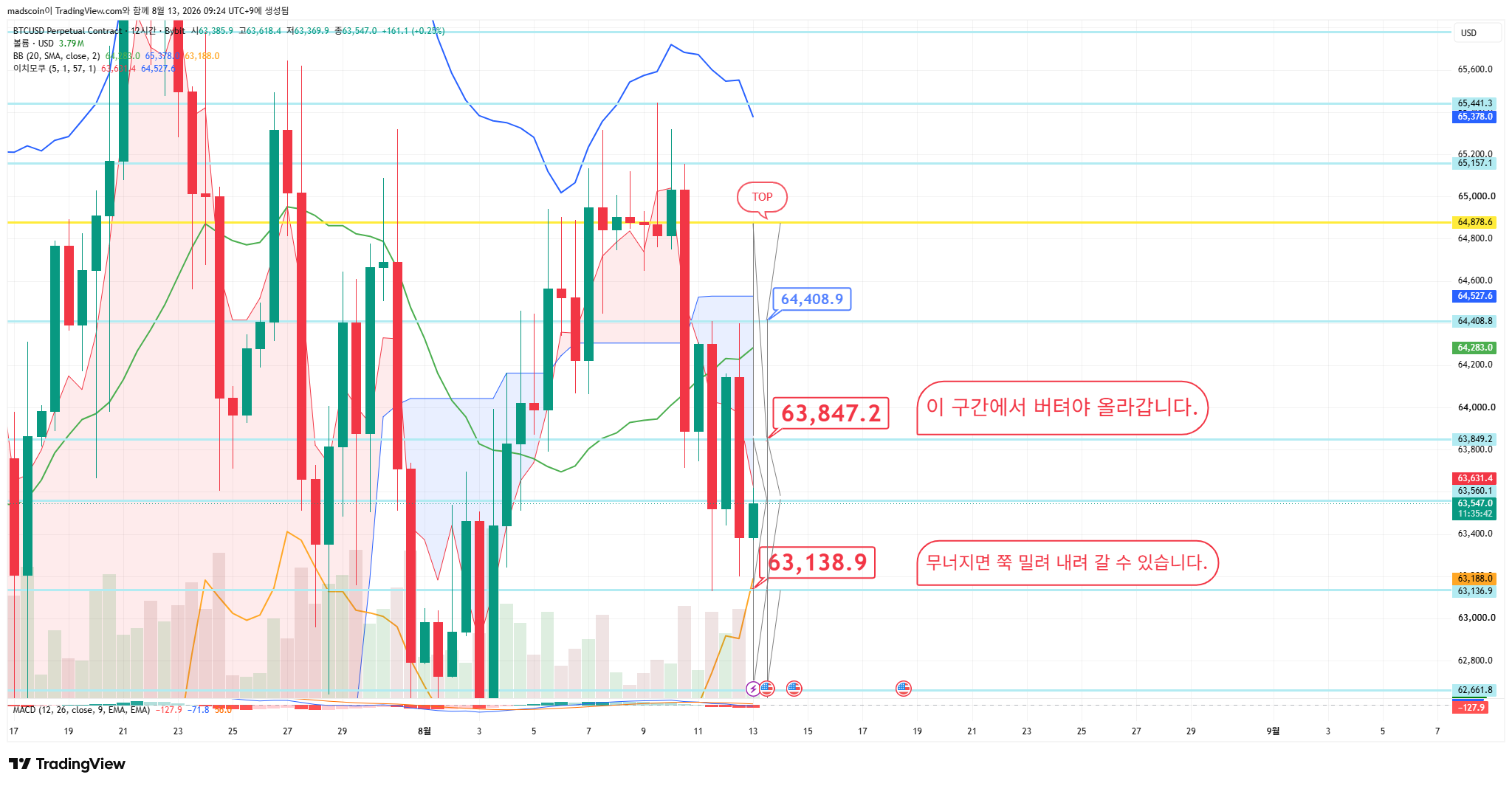 BYBIT:BTCUSD.P Chart Image by madscoin