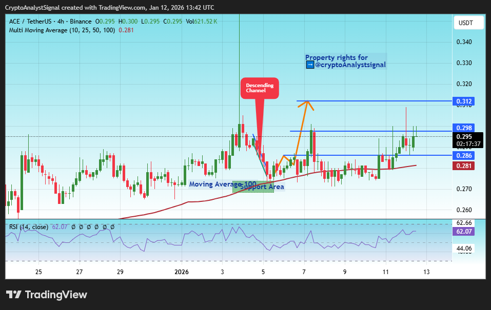 BINANCE:ACEUSDT Chart Image by CryptoAnalystSignal