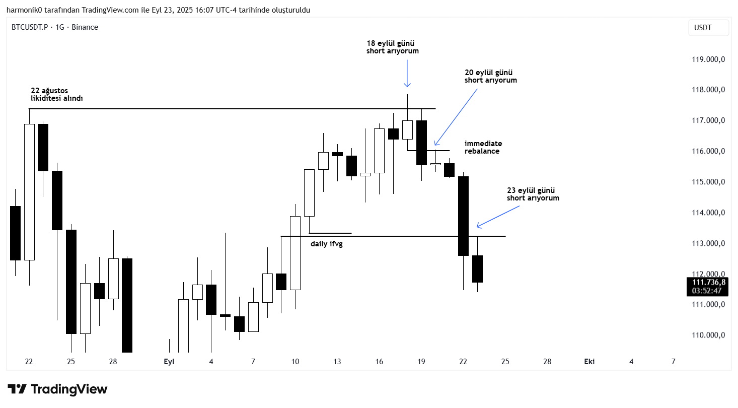 BINANCE:BTCUSDT.P Chart Image by harmonik0
