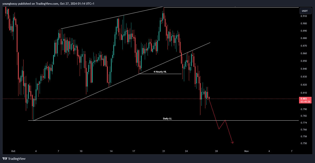 BINANCE:XNOUSDT صورة الرسم البياني by youngbossy