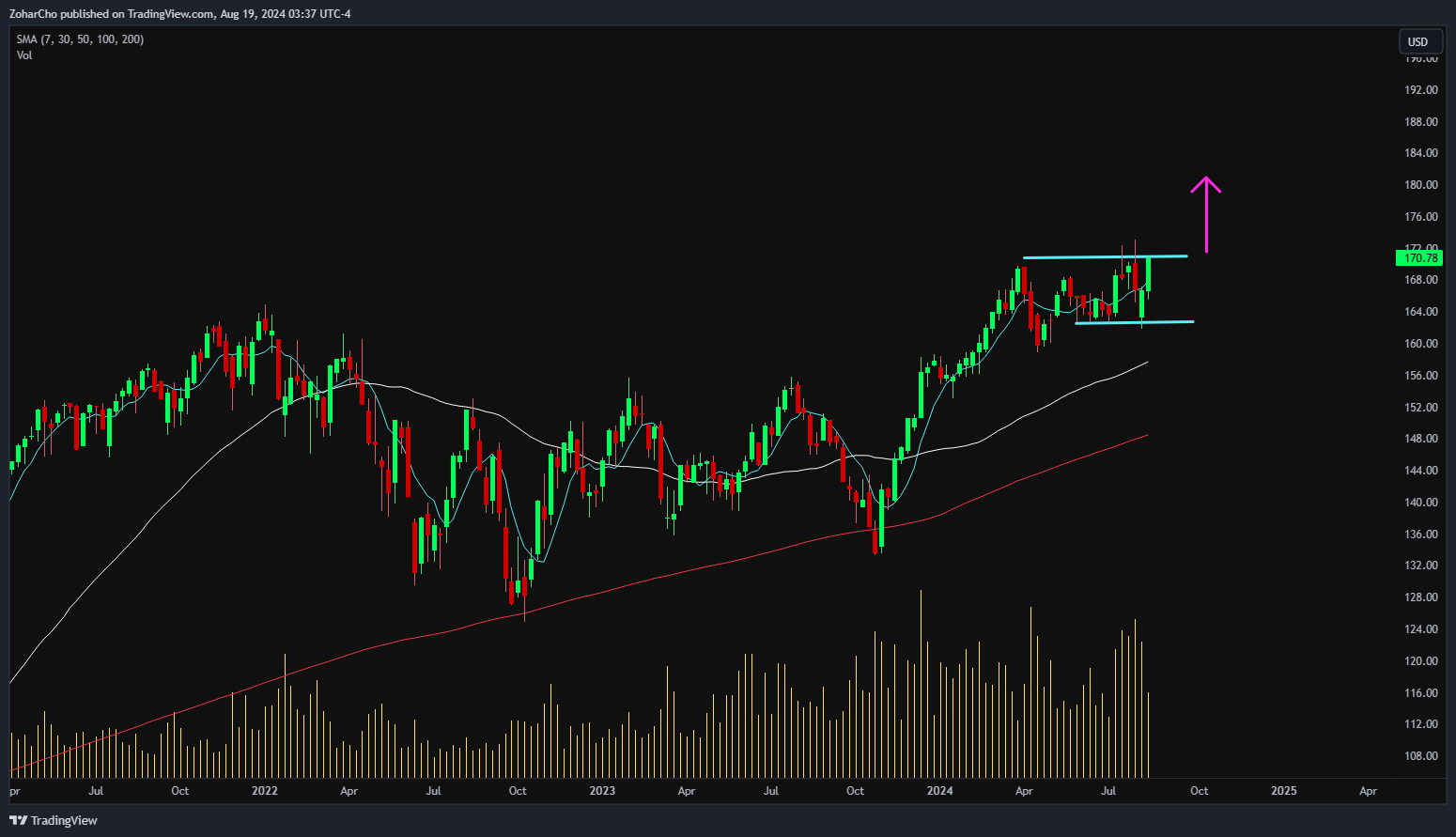 AMEX:RSP Chart Image by ZoharCho