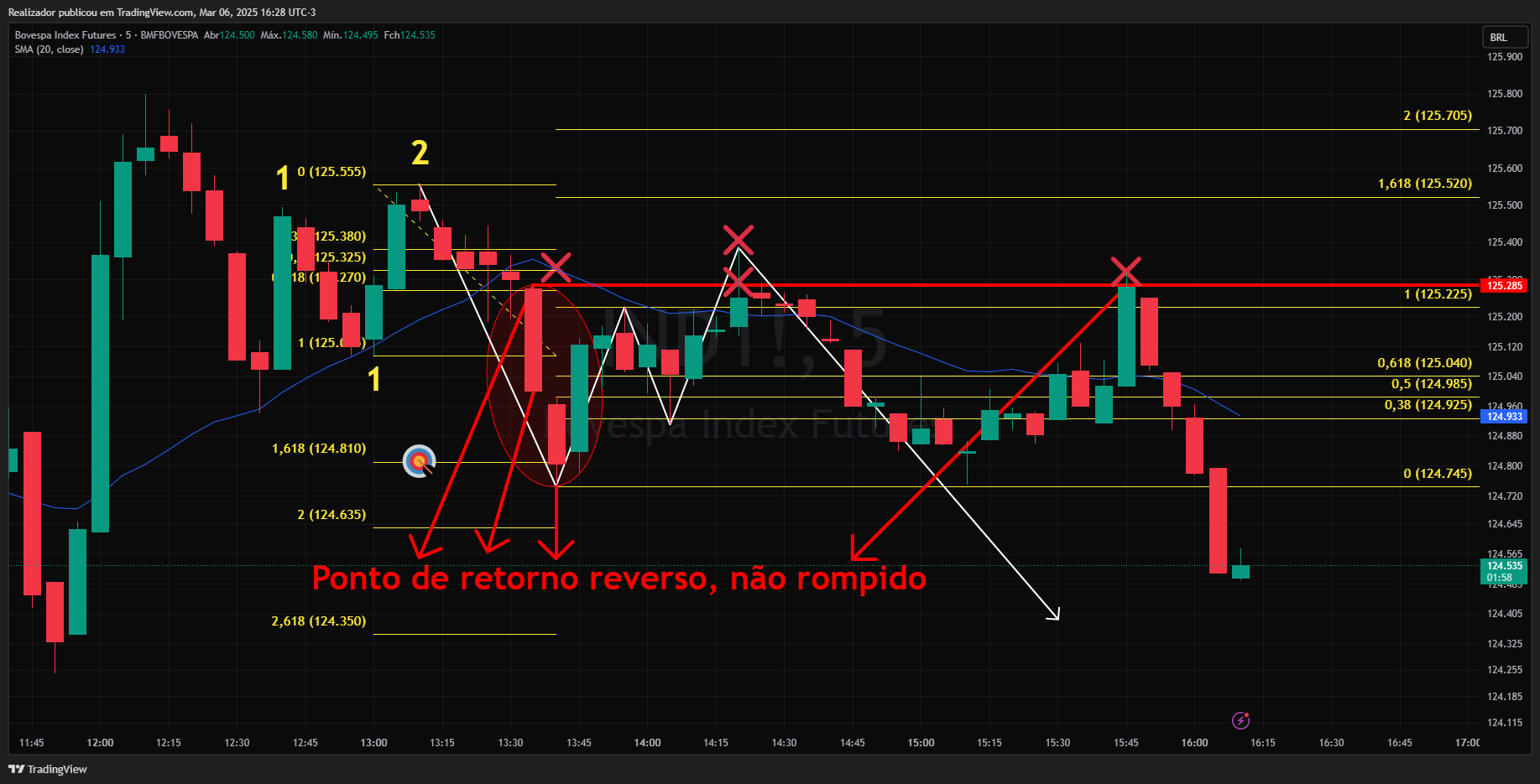 BMFBOVESPA_DLY:IND1! Chart Image by Realizador