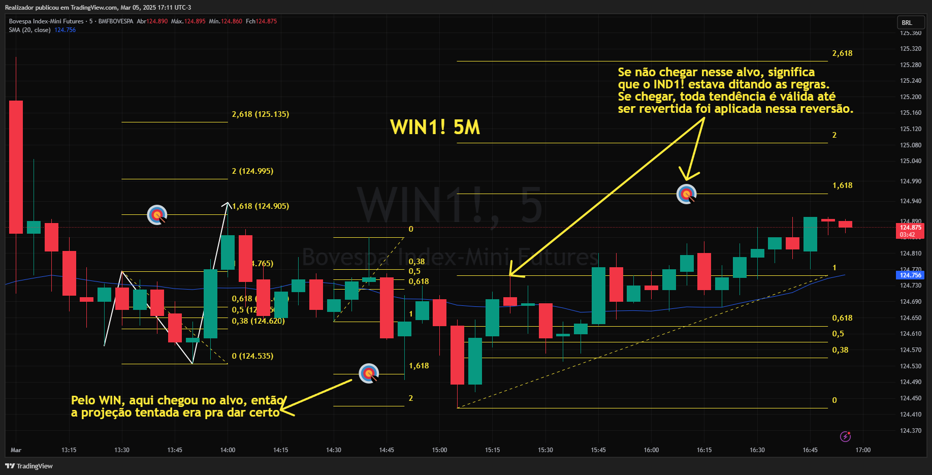 BMFBOVESPA_DLY:WIN1! Chart Image by Realizador