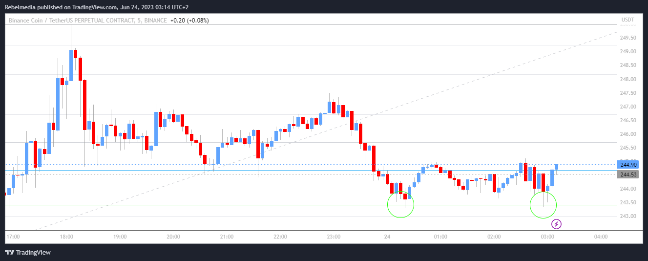 BINANCE:BNBUSDT.P Chart Image by Rebelmedia
