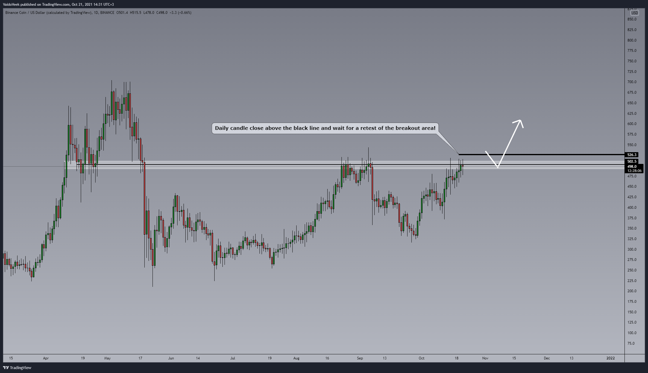 BINANCE:BNBUSD Chartbild von VaidoVeek