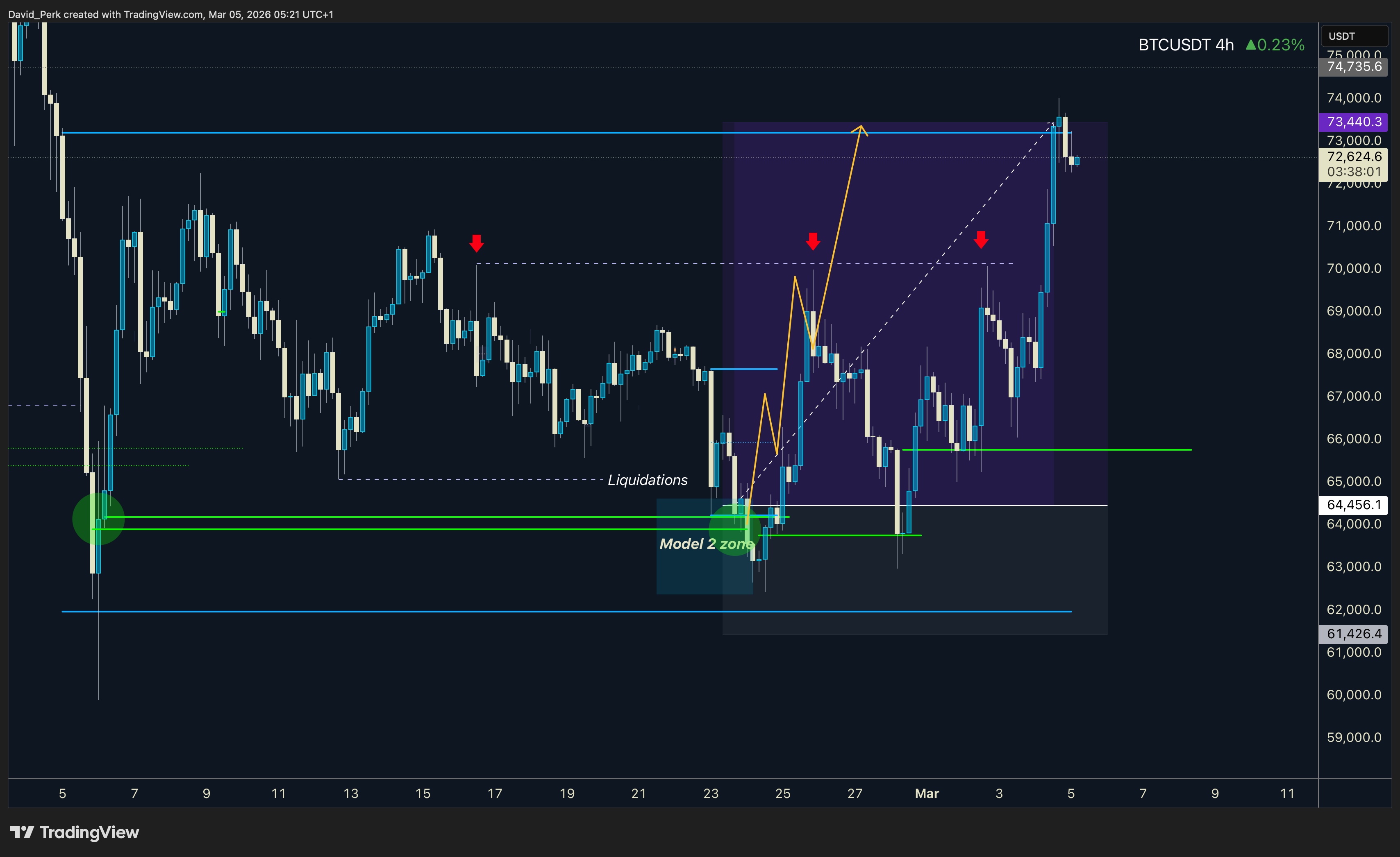 BYBIT:BTCUSDT.P Obraz wykresu od David_Perk
